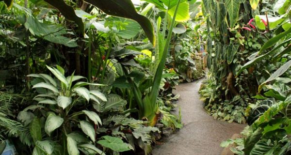 Events at the Living Rainforest visitor centre in Berkshire