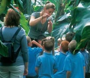 A tour guide shows a group of school children around the Living Rainforest glasshouses
