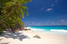 a beach in the Seychelles