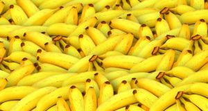 bananas 1119790 640