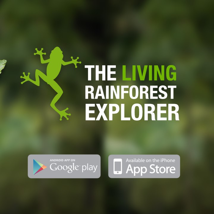 Living Rainforest Explorer app