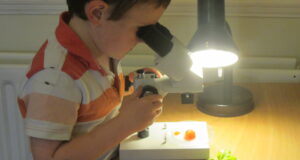 SLBI food plants under microscopes