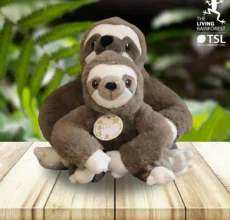 Living Rainforest shop sloths2