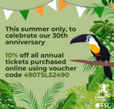 10 percent off code annual ticket online summer23