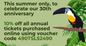 10 percent off code annual ticket online summer23