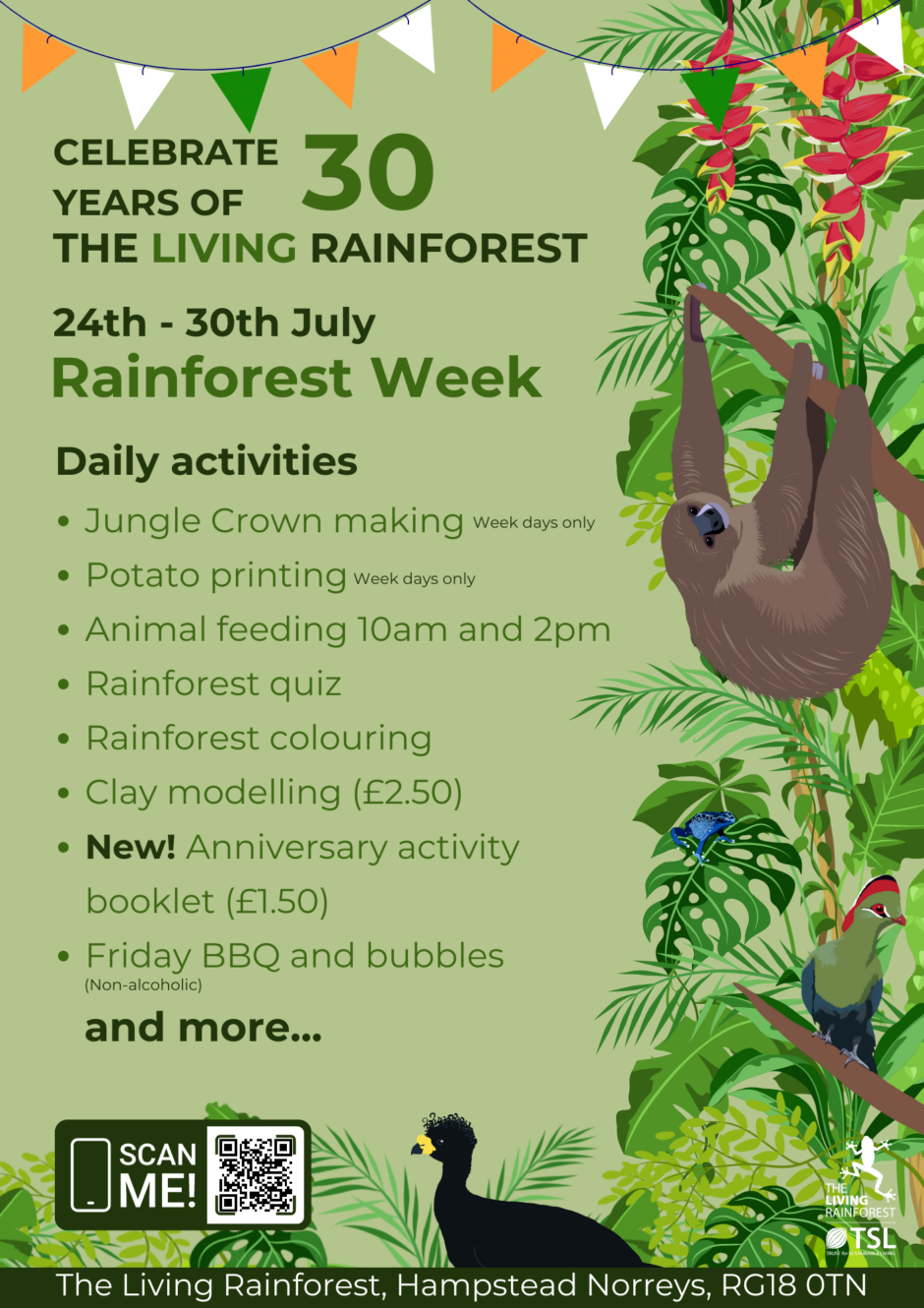 Rainforest Week 24 30 Jul 2023