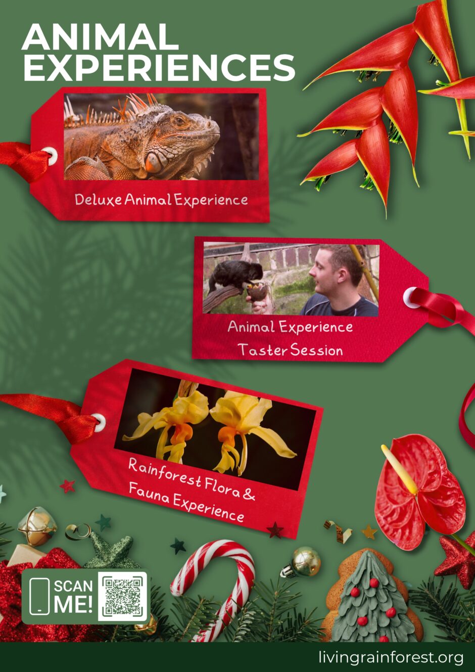 Animal Experiences Xmas Poster Dec23