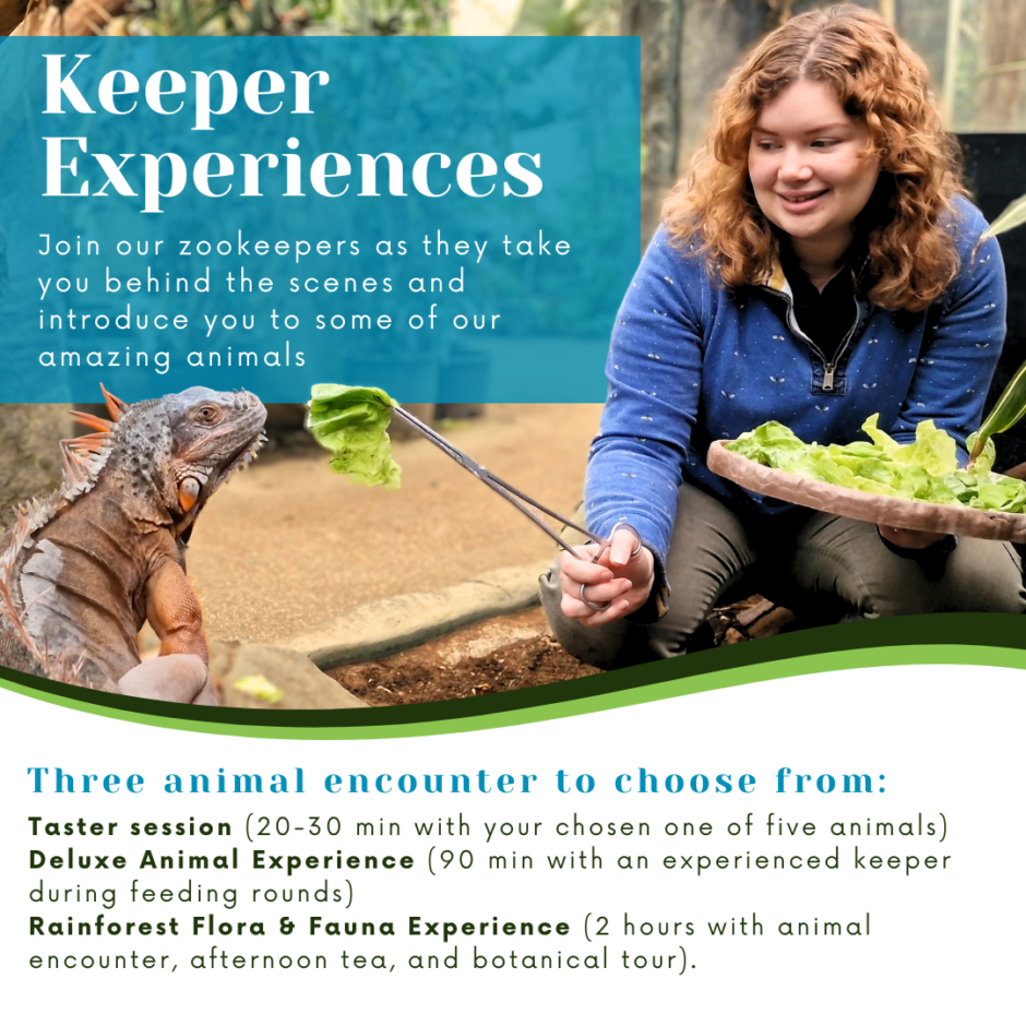 Keeper Experience Square