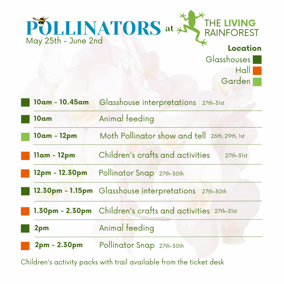 Pollinators timetable
