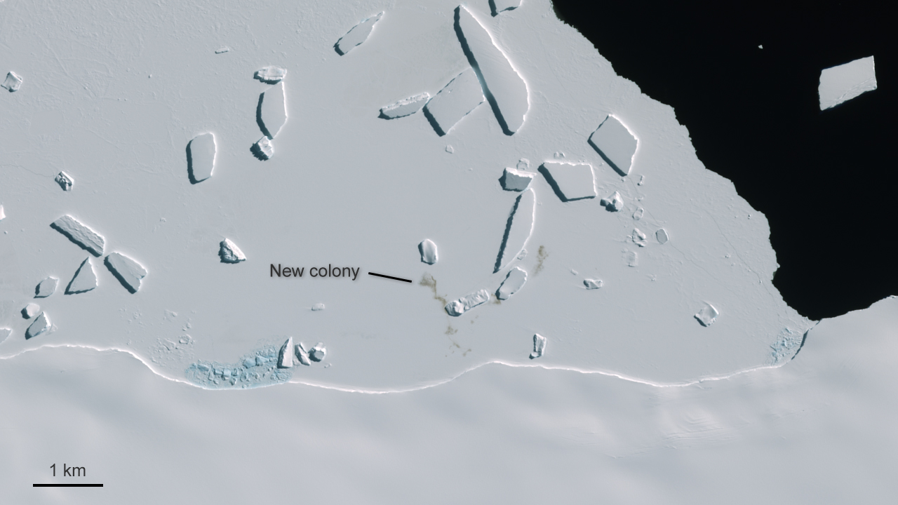 Cape Gates Antarctica