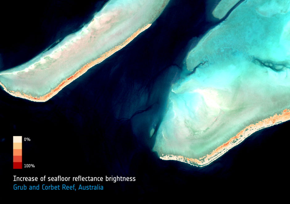 Detecting coral bleaching