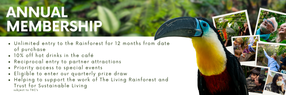 Living Rainforest member benefits banner Oct2024