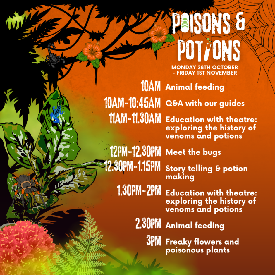 October Half Term Poisons & Potions timetable