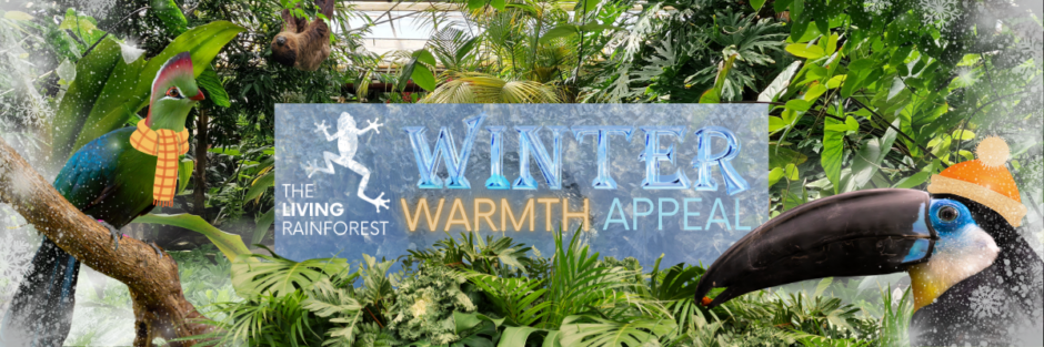 TLR Winter Warmth Appeal banner