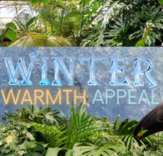 TLR Winter Warmth Appeal banner