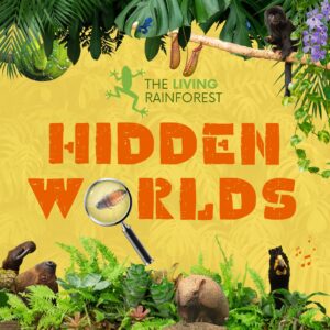 Hidden Worlds Feb15 23 2025