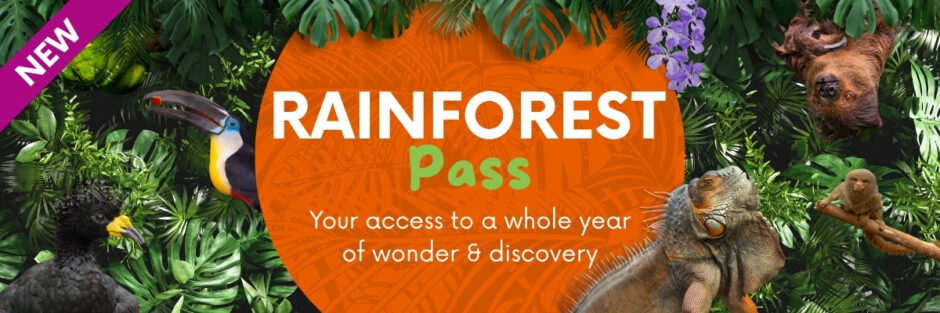 Exciting Changes To Our Tickets The Living Rainforest Exciting Changes To Our Tickets The Living Rainforest