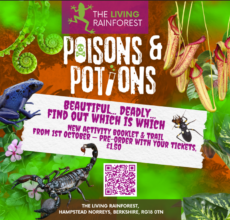 Poisons and Potions trail Living Rainforest