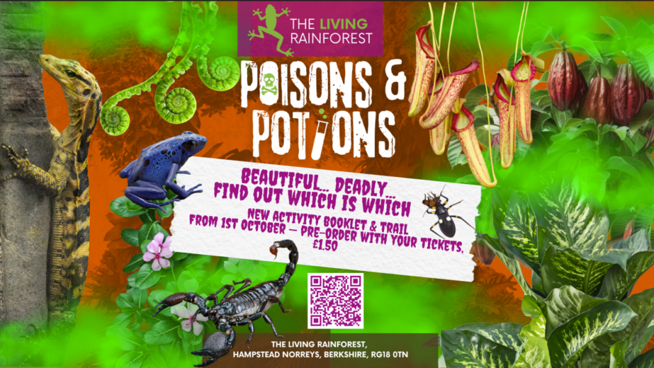 Poisons and Potions trail Living Rainforest