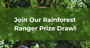 Rainforest Ranger Prize Draw