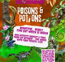 Poisons and Potions Poisons and Potions