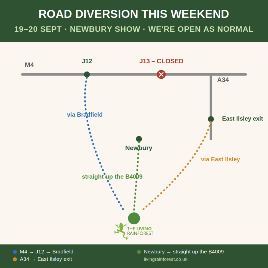 Diversion map for The Living Rainforest